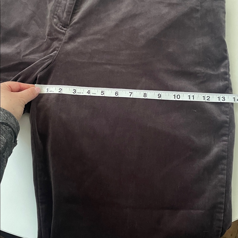 Eileen Fisher Women’s XL Plus Versatile‎ Deep Brown Purple Pant - Picture 5 of 14